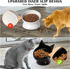 Cat Bowls for Indoor Cats, 2 Pack Ceramic Raised Slanted Cat Food Bowl Elevated Tilted Whisker Friendly, anti Vomiting Cat Feeding Bowl, Black White Pet Kitty Water Bowl,Ergonomic Cat Dishes Plate Set